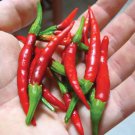 Arbol Pepper Seeds Heat W Smoky Flavor