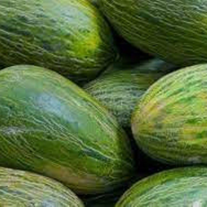 Valencia Late Melon Seeds