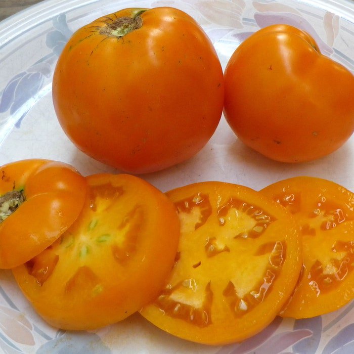 PegS Round Orange Tomato Seeds