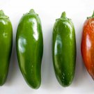 No Heat Jalapeno Pepper Seeds