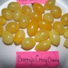 BarryS Crazy Cherry Tomato Seeds