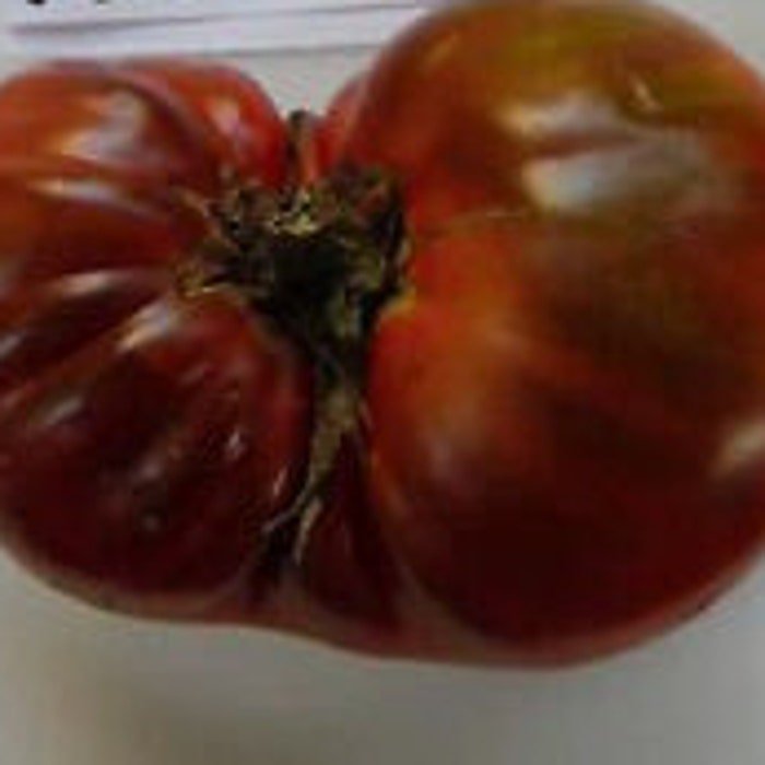 Cherokee Chocolate Tomato Seeds