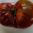 Cherokee Chocolate Tomato Seeds