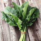 Perpetual Spinach Swiss Chard Seeds