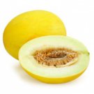 Yellow Honeydew Seeds