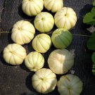 Chrysanthemum Melon Seeds Delicious White Sweet Fruit