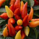 Blaze Pepper Seeds