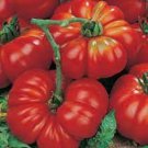 Crimson Cushion Beefsteak Tomato Seeds