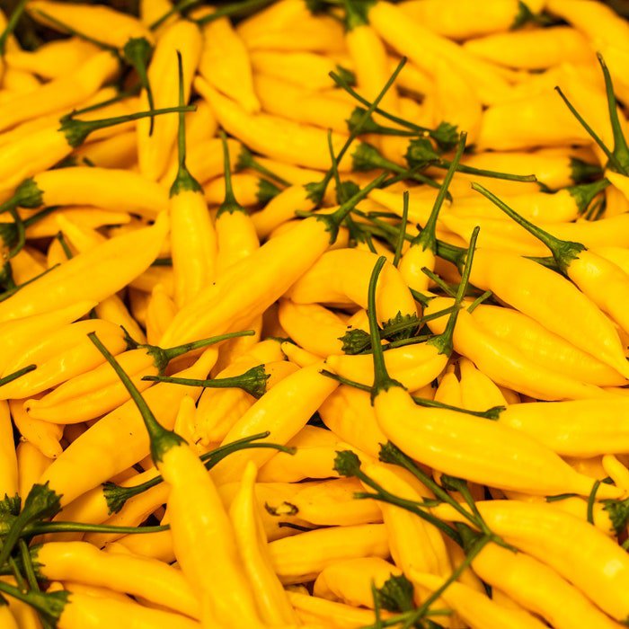 Lemon Drop Pepper Seeds