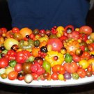Mix From 165 Different Kind Of Tomato 200 Seeds See List Of All VarietyS