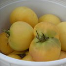 Butter Apple Tomato Seeds