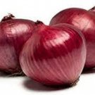Red Grando Onion Seeds