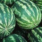 Dixie Lee Watermelon Seeds