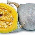 Blue Hubbard Winter Squash Seeds