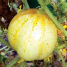 Round Lemon Cucumber Seeds