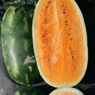 Orange Tender Sweet Watermelon Seeds