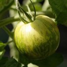 Green Zebra Tomato Seeds
