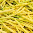 Pencil Pod Black Wax Bean Seeds