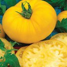 Sunny Boy Tomato Seeds