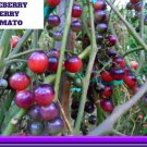 Blueberry Cherry Tomato Seeds