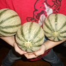 Mini Sweet Stripe Cantaloupe Seeds