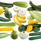 Summer Squash Mix Seeds Bee Blooming Custom Seed Mix