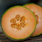 Edisto Melon Seeds