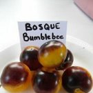 Bosque Bumblebee Tomato Seeds