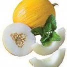 Twice As Nice Melon Seeds