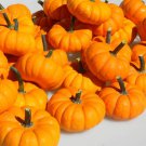 Jillbelittle Pumpkin Seeds