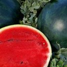 Florida Giant Watermelon Seeds