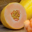 Mango Melon Seeds