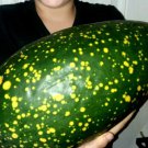Moon & Stars Red Flesh Watermelon Seeds