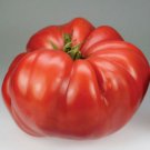 EagleS Beak Giant Oxheart Tomato Seeds