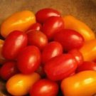 Red & Yellow Grape Tomato Mix Custom Seeds Mix
