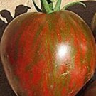 Black & Brown Boar Tomato Seeds