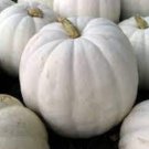Crystal Star Pumpkin Seeds