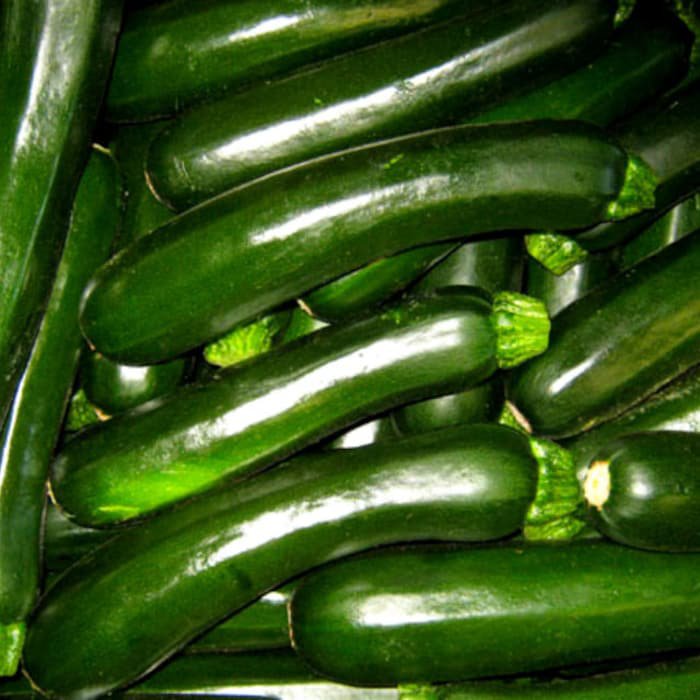 Dark Green Zucchini Squash Seeds