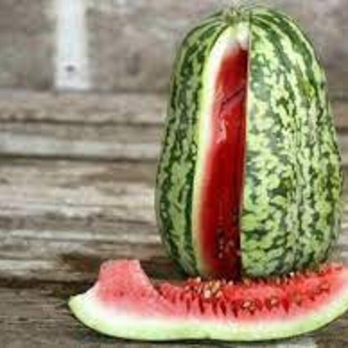 Klondike Blue Striped Ribbon Watermelon Seeds