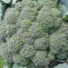 Broccoli Seeds Waltham