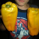 Yellow Monster Pepper Seeds