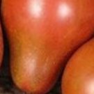 EvanS Purple Pear Tomato Seeds