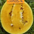 Janosik Watermelon Seeds