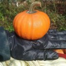 Weeblittle Pumpkin Seeds