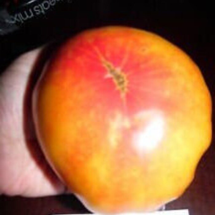 NatureS Riddle Tomato Seeds