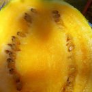 Clay County Watermelon Seeds