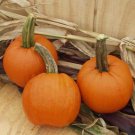 Iron Man Pumpkin Seeds