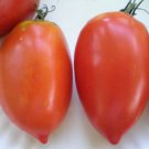 Amish Paste Tomato Seeds