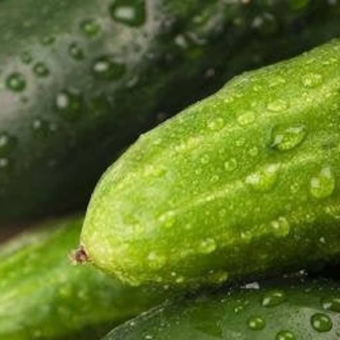 Long Green Improved Cucumber Seeds