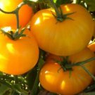 JanetS Jewel Tomato Seeds